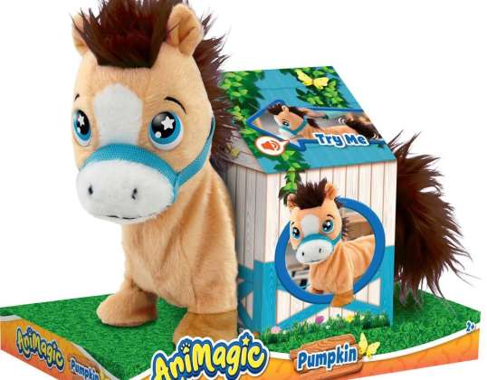 CITROUILLE - LE PONEY 6729