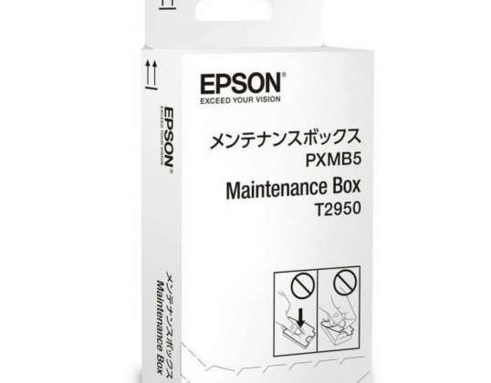 BOÎTE DE MAINTENANCE WORKFORCE WF-100W 4537