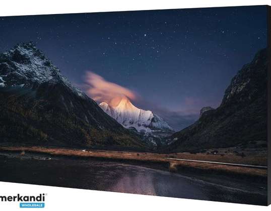 VM55B-R 55 IPS 1920X1080 500 CD/M2 7424