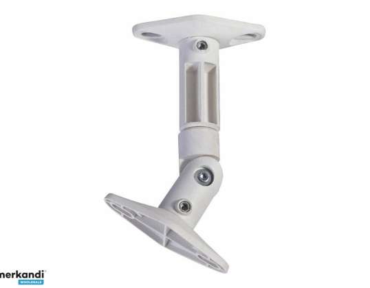 CASE SUPPORT W100 CREAM 5647