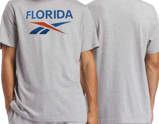 Reebok t-shirt męski szary bawełna Logo Florida 100206434