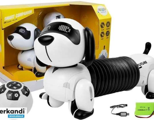 Interaktiver Hund Roboter mit Fernbedienung