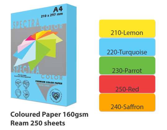 Copy paper A4 160gsm 250 sheets ream Vivid Colours
