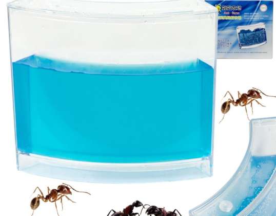 Aquarium en gel éducatif pour fourmis