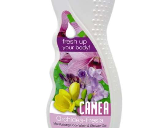 Flüssigseife Safeguard 500ml