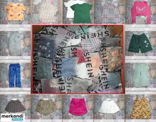 SHEIN assorted apparel pallet 300pcs.