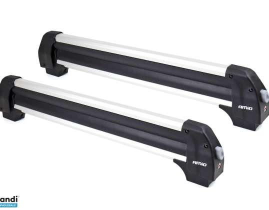 Dakkoffer voor ski's snowboard 760 mm ssr 01l amio 02591