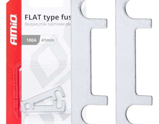 Flat Tape Fuses 2 pcs 41mm 100a amio 03494