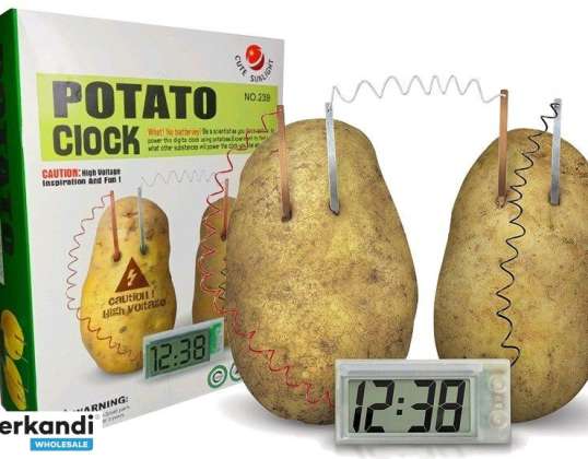 Creative Science Experiment Kit Eco Potato Clock