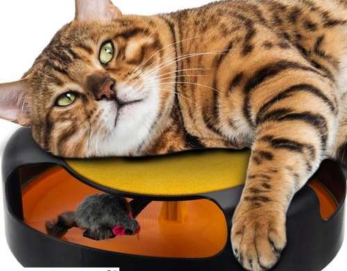 Kattenspeelgoed wiel met muis