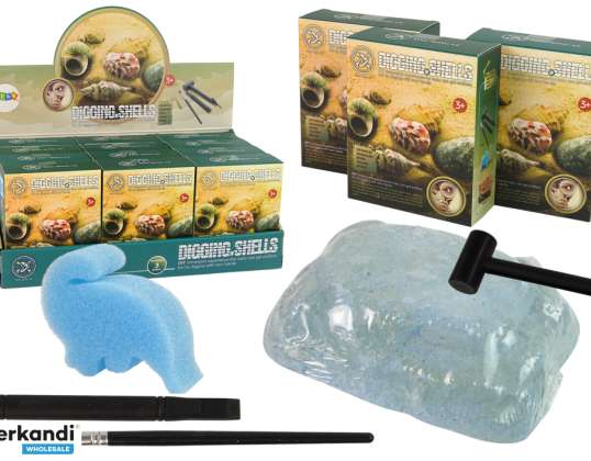 Set de excavación Conchas Conchas Tres Modelos Sorpresa
