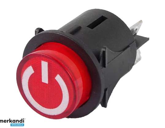 Knop Aan/Uit Schakelaar Voor Auto Op Batterij 4 pin