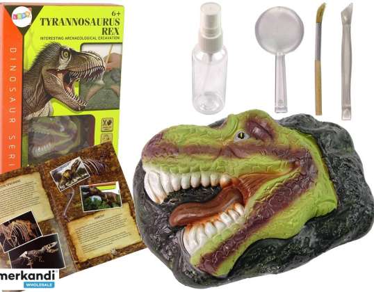 Pädagogisches Ausgrabungsset Dinosaurier Tyrannosaurus