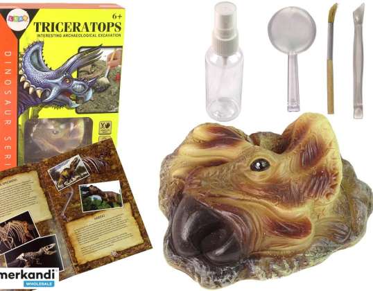 Dinosaurier Triceratops Ausgrabungs-Lehrset