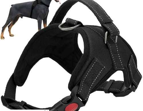 Druckfreie Hundegeschirre L OSI 00016150