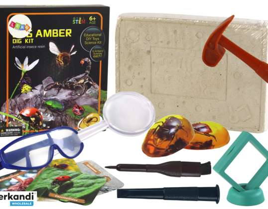 Conjunto arqueológico de excavaciones de insectos en ámbar