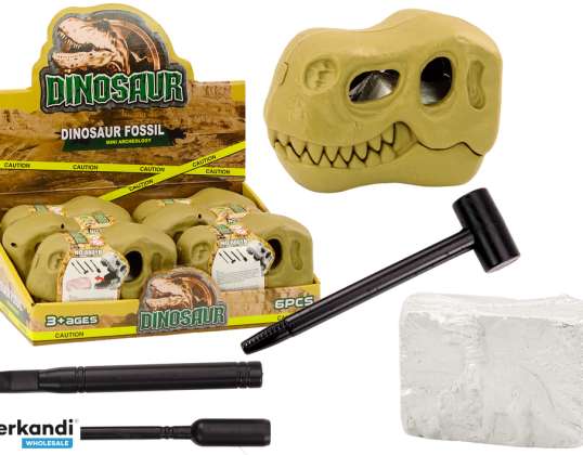 Ausgrabungsset Archäologische Dinosaurier Fossilien Schädel
