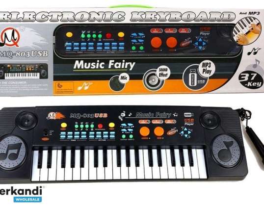 Organo a tastiera con microfono 37 tasti USB