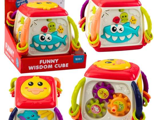 Cubo educativo interattivo per anatra bambino colorato