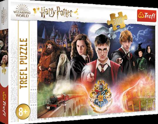 Harry Potter puslespill 300 stk. Mystisk Harry Potter 23001