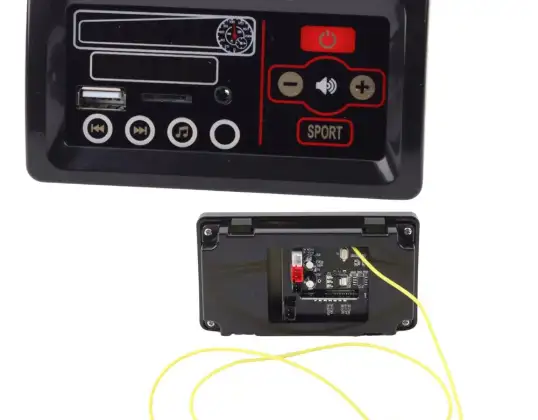 Music Panel for 12V Vehicle