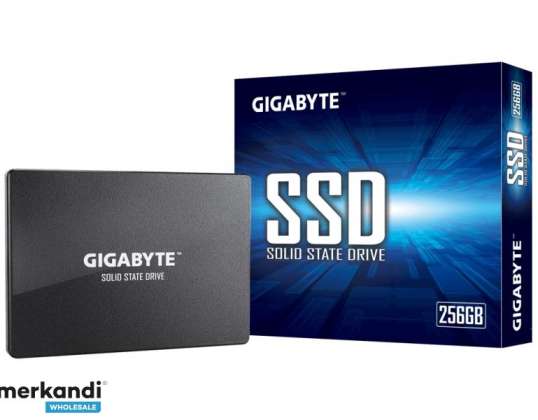 GIGABYTE SSD 256GB Sata3 2,5 GP-GSTFS31256GTND