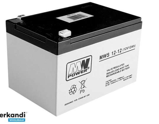 AGM gelinis automobilio akumuliatorius, skirtas 12V12Ah akumuliatoriui