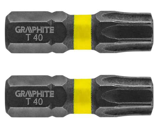Schlagbits TX40 x 25 mm. 2 Stk.