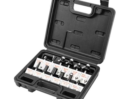 Carbide Cutters. Shank 6 mm. Set of 12 pcs.