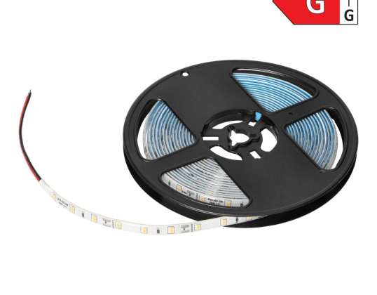Ruban LED 12V. 2835. 60L/m. 500lm/m. 4.8W/m. IP63. 4000K. 5m