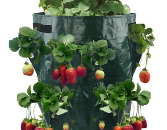 AG691A Strawberry Planting Bag