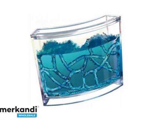 Pedagogisk gel akvarium for maur