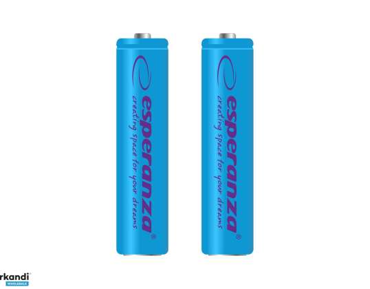 EZA101B Аккумуляторные батареи Esperanza nimh aaa 1000mah 2шт. Синий