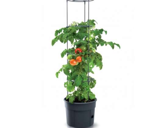 Tomato Pot Tomato Grower IPOM400