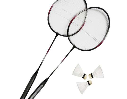 Набор для бадминтона MASTER Fly 2