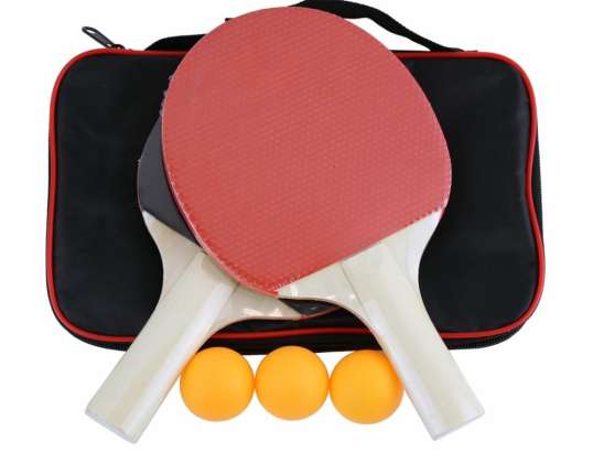 Ensemble de tennis de table MASTER T30