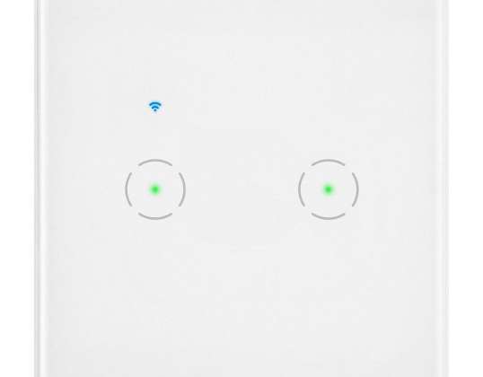 Interruptor empotrado doble Wi-Fi Tuya Smart Home, blanco