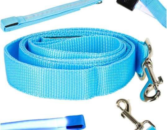 LED Leuchtende Hundeleine 2 5x120cm Blau