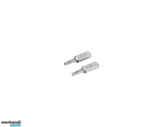 Torx-Bits T15/25 2Stk.