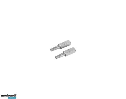 Schraubendreherspitzen   Torx T20/25  2Stück.