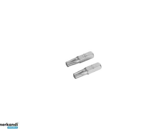 Embouts de vissage torx t30/25 2 pièces