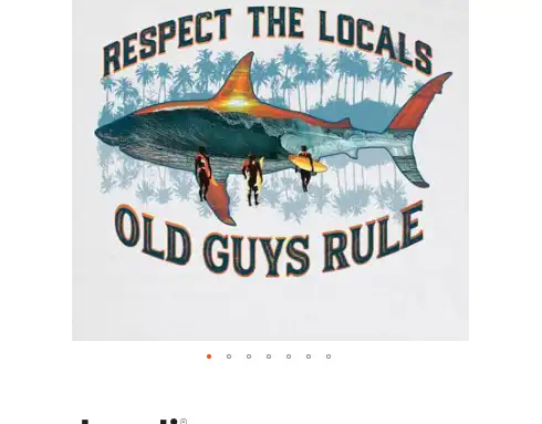 Old Guys Rule venta al por mayor surtido de camisetas para hombre 24 piezas.