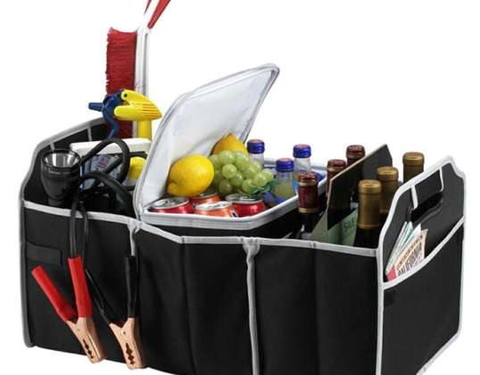 AG403A ORGANIZER FOR LUGGAGE BAG