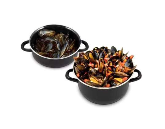 Rosberg R54525A22, Enamel Mussels pot 22x11сm.\5l., Induction, Black