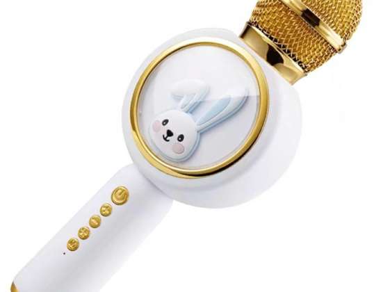 ZS51 KARAOKE MICROPHONE BT SPEAKER