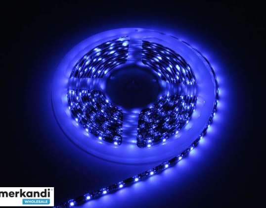 70 979# Bande LED bleu 3528 5m/300étanche'