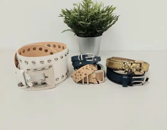 Multi Brand Luxury Belt for Men and Women