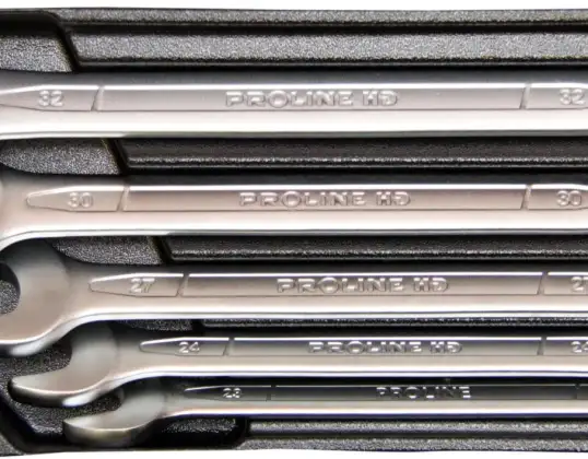 Plateau avec clés à fourche 5 pcs. Proline HD