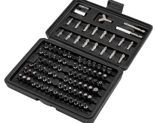 Bit set 25 mm. with magnetic holder 60 mm. 100 pcs.