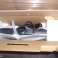 Siemens-Bosch-AEG-Philips-LG-Samsung jne... foto 1